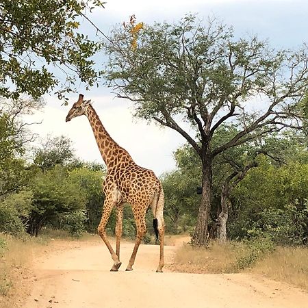 Lodge 54 Hoedspruit Buitenkant foto