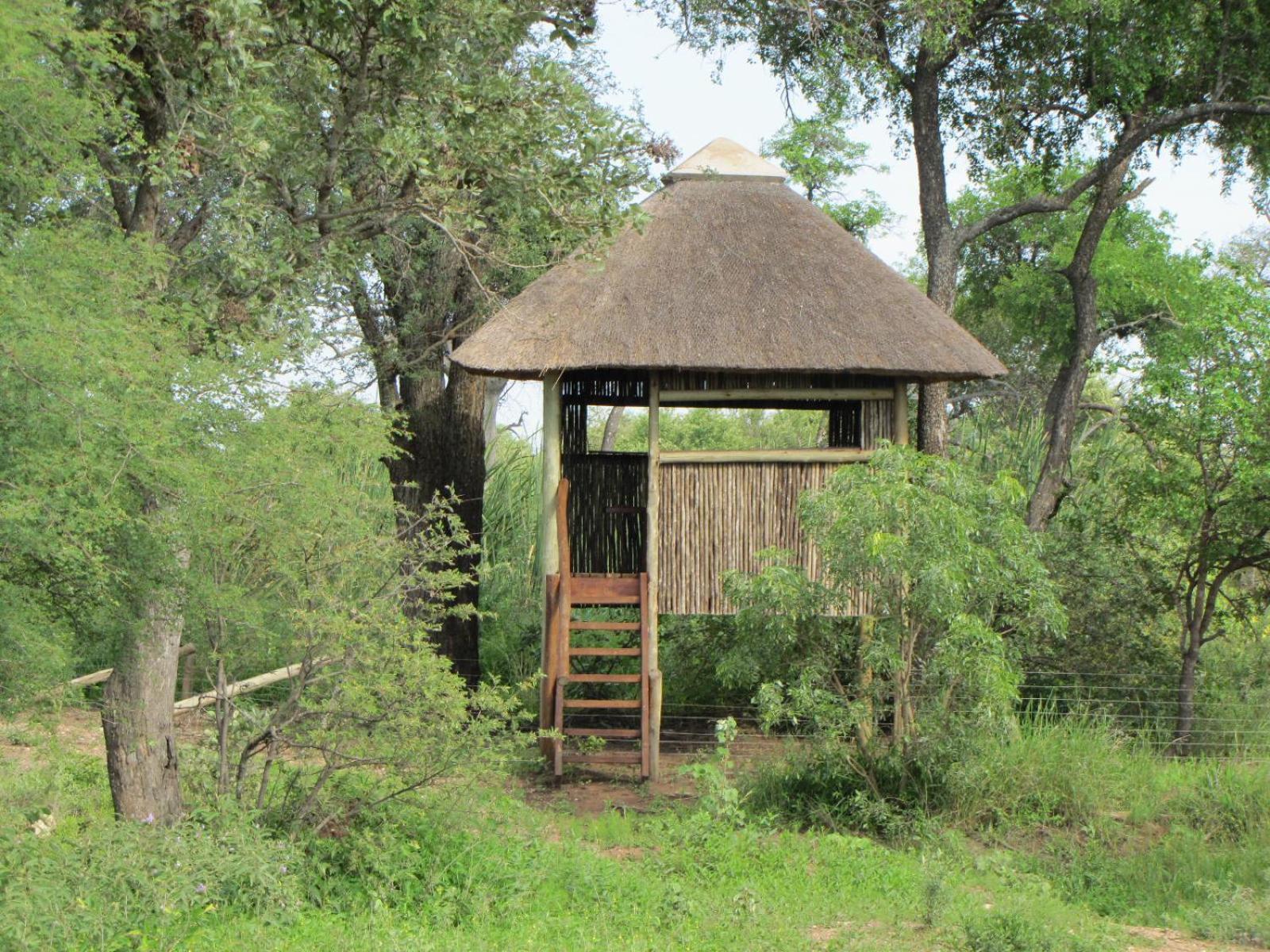Lodge 54 Hoedspruit Buitenkant foto