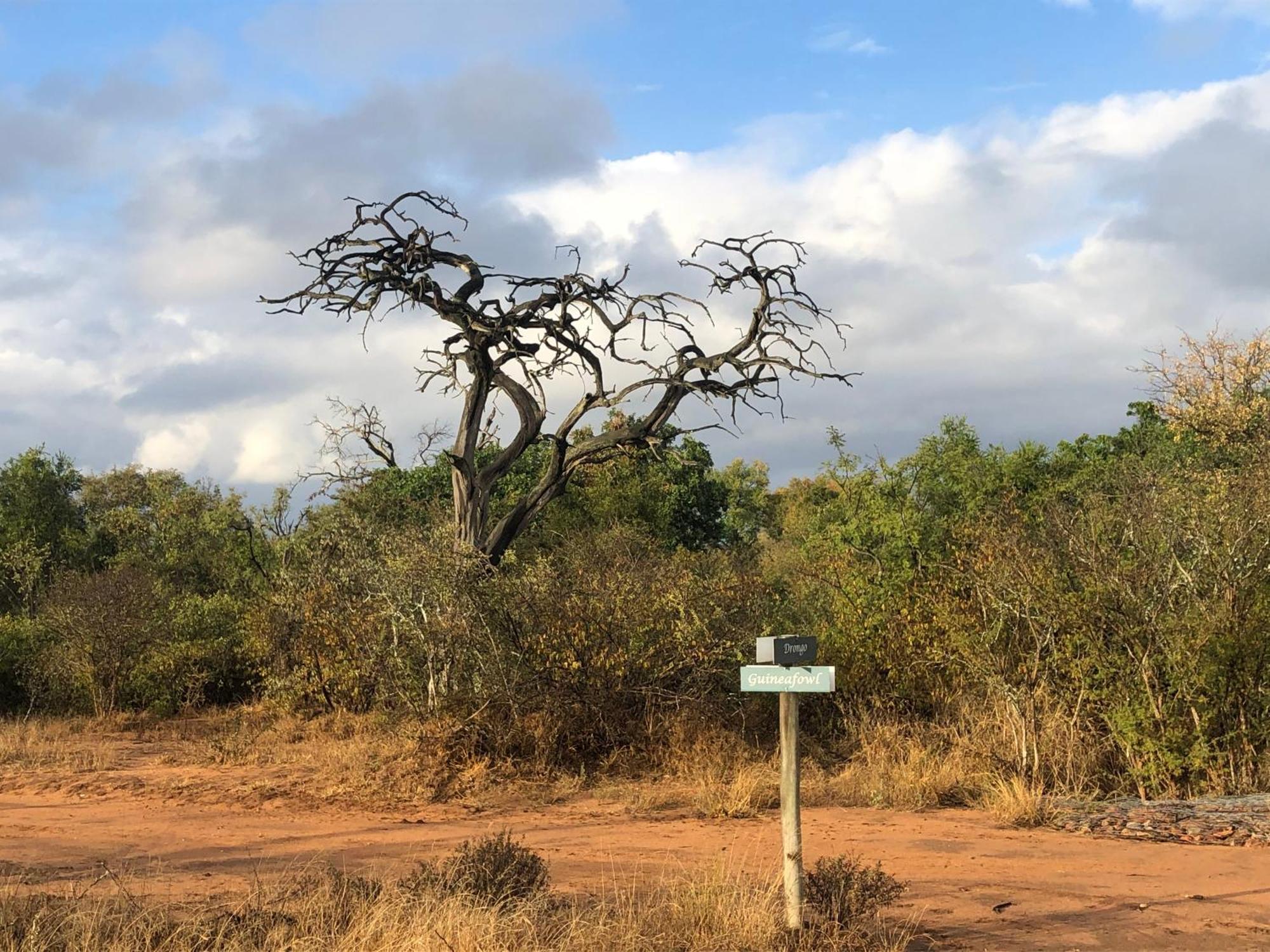 Lodge 54 Hoedspruit Buitenkant foto